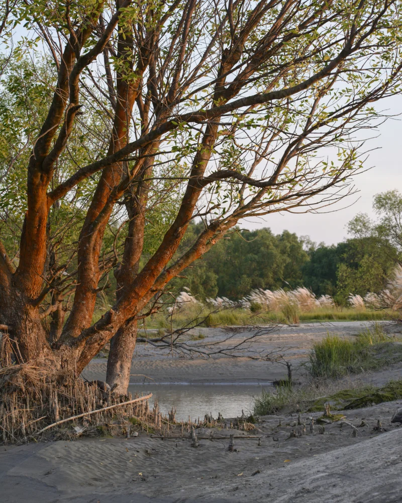 Founder of Green Mangrove Safari