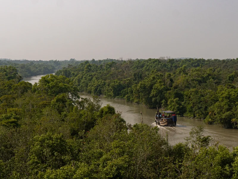 Green Mangrove Safari Tourist Boat in Sundarban