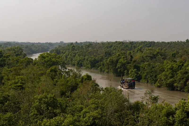 World's Largest Mangrove Forest